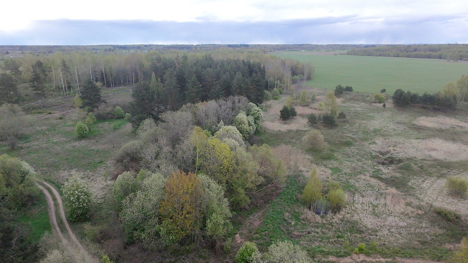 Zemes gabals 1,56 ha, Salas pagasts — attēls 3