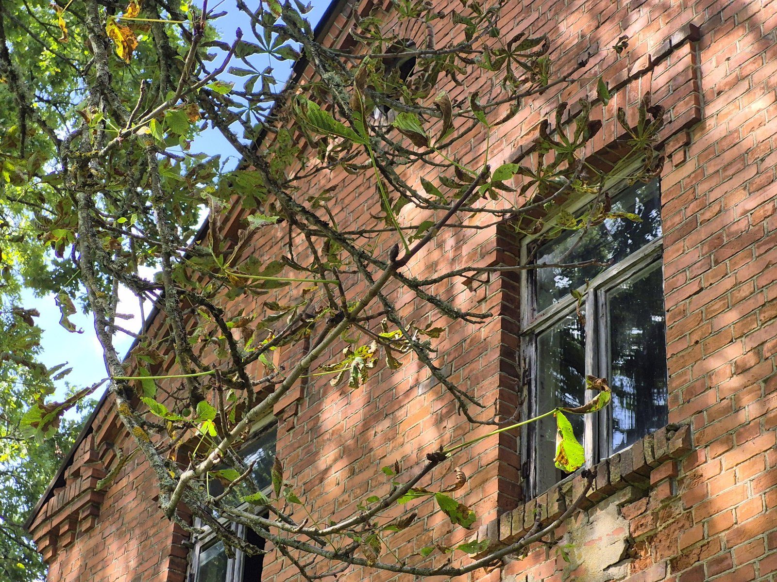 Privātmāja 365 m², Dravēkas, Kocēnu pagasts — attēls 2