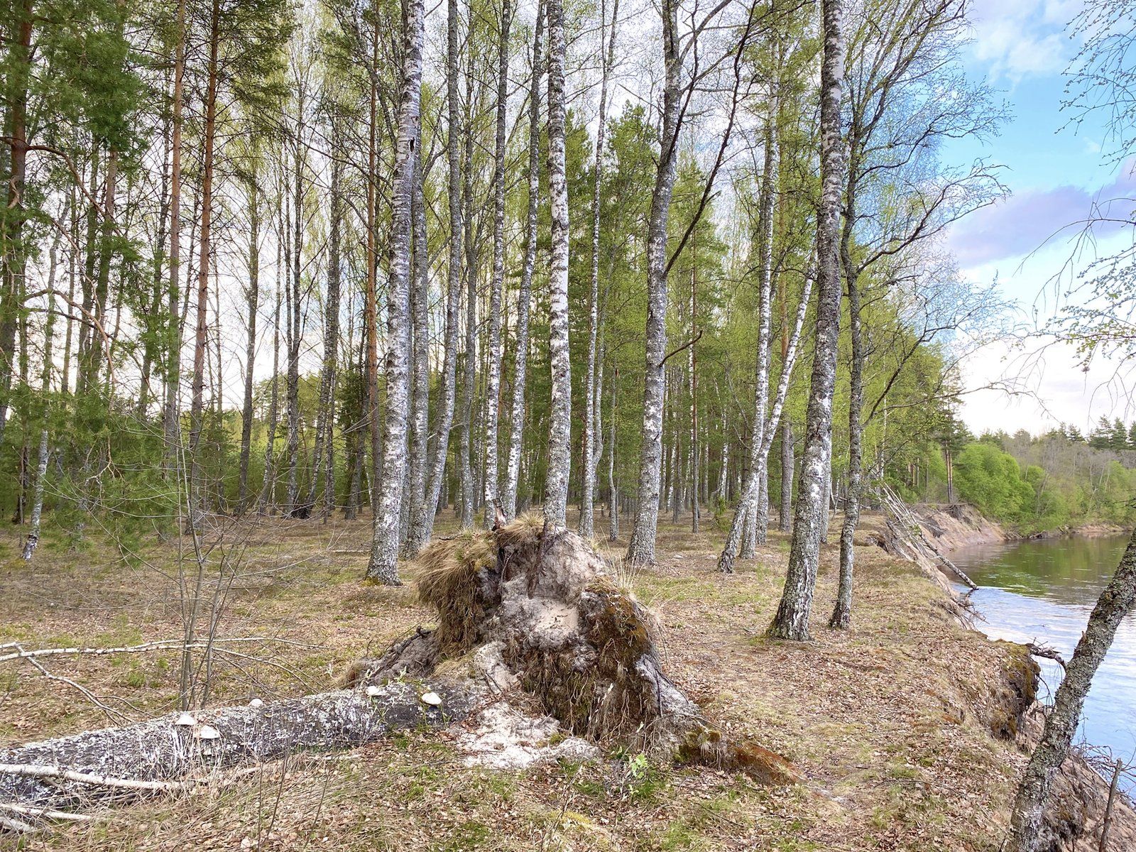 Zemes gabals 12,84 ha, Iļķene — attēls 2