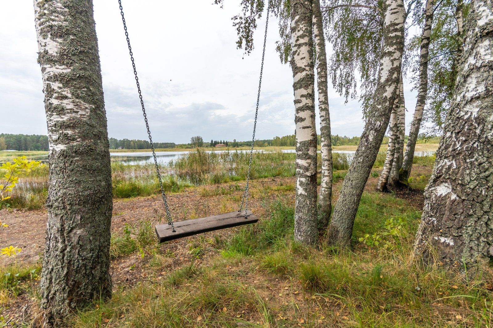 Zemes gabals 19,05 ha, Upesciems — attēls 5