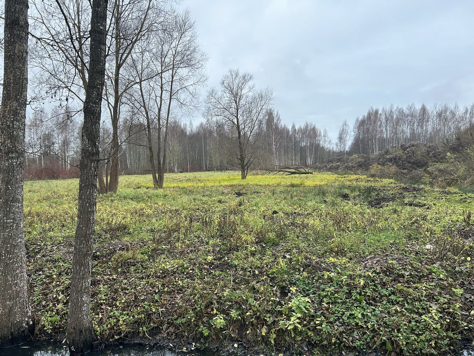 Zemes gabals 9654 m², Mūkupurva iela 2, Rīga