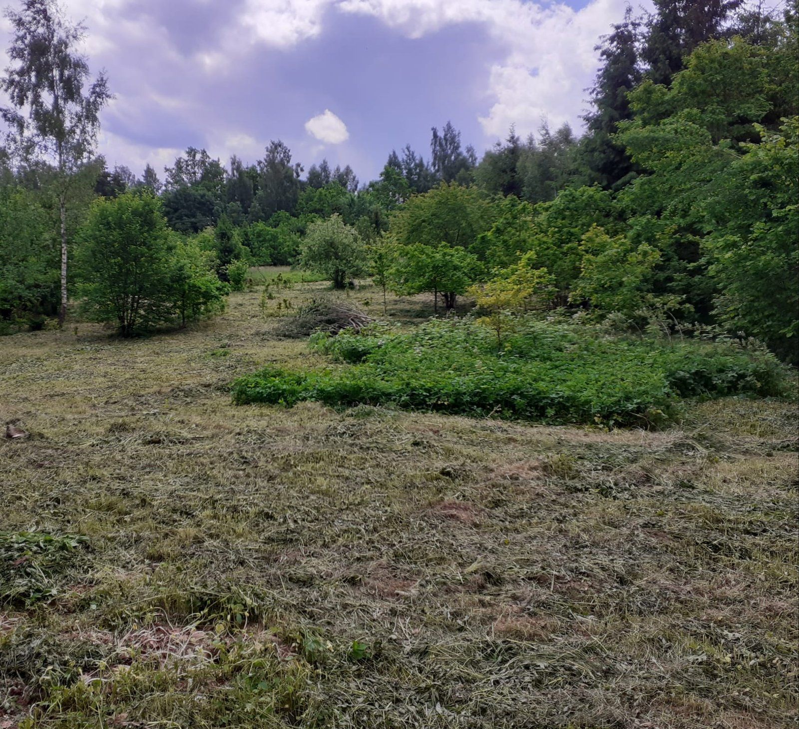 Zemes gabals 3600 m², Dižolgāres, Smārdes pagasts — attēls 3