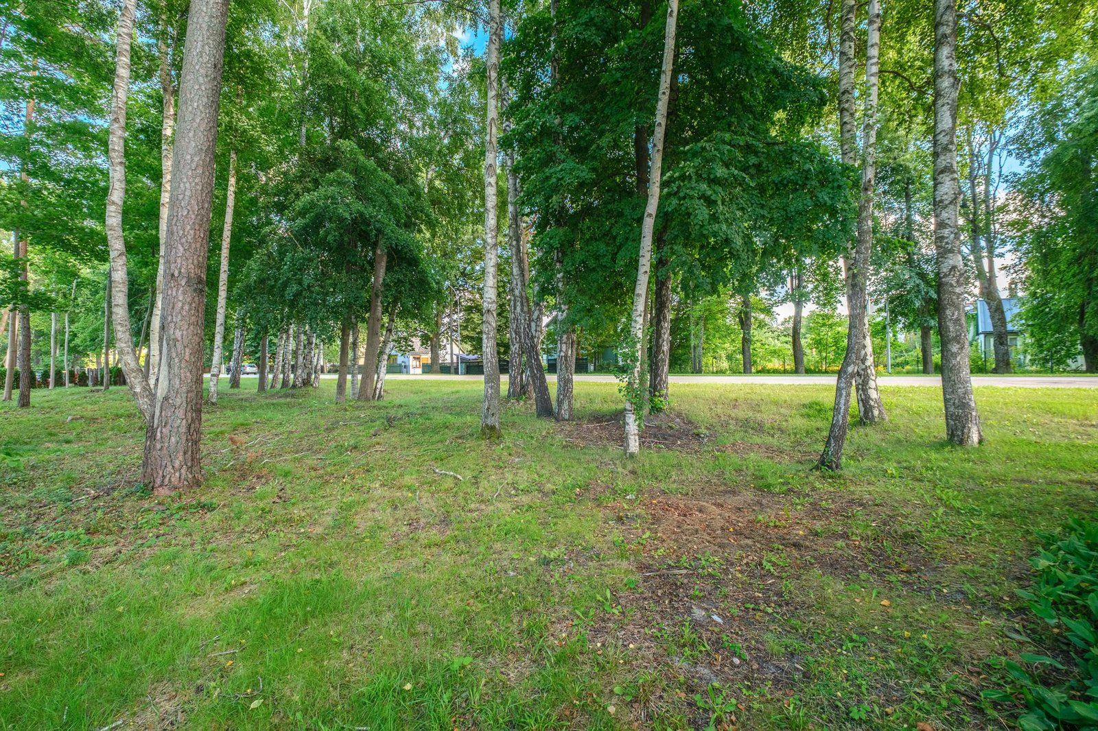 Zemes gabals 3641 m², Asaru prospekts 33, Jūrmala — attēls 4