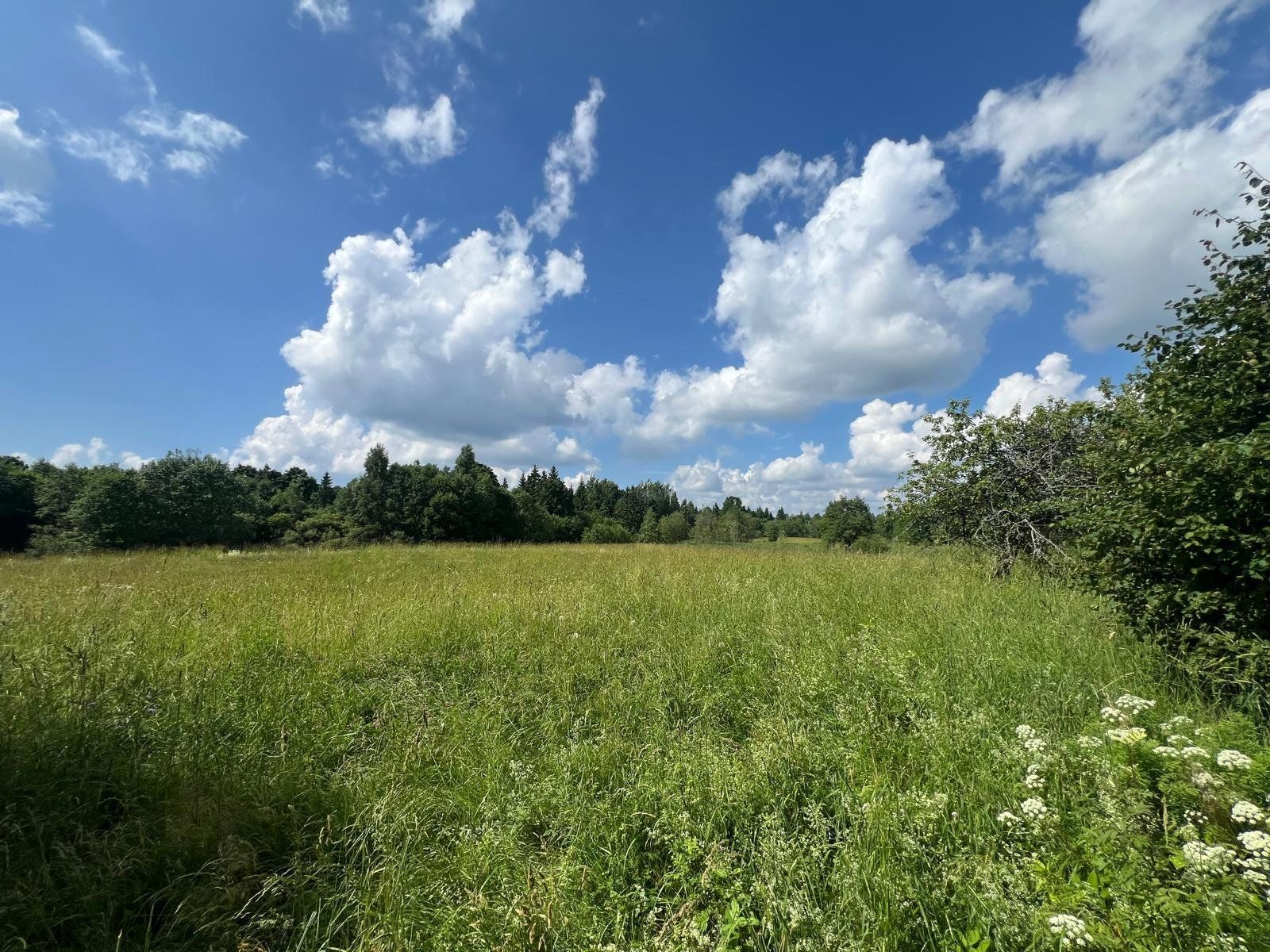 Meža īpašums 17,5 ha, Grantskalni, Astašova — attēls 2