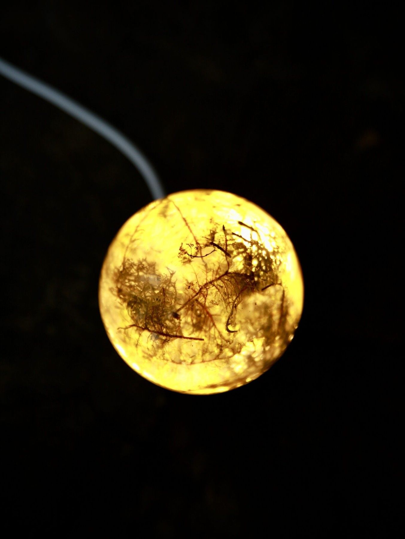Galda lampa SpiiidBotanics, silti balta, oranžā krāsā — attēls 4