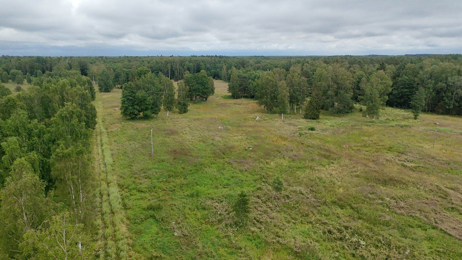 Zemes gabals 10,07 ha, Liepupes pagasts — attēls 4