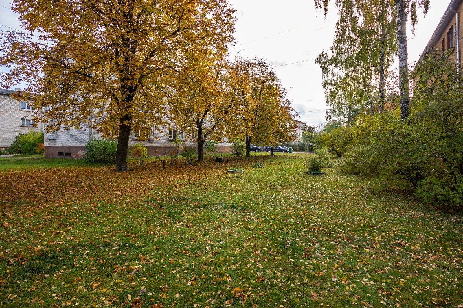Zemes gabals 3288 m², Zalves iela 40, Rīga — attēls 2