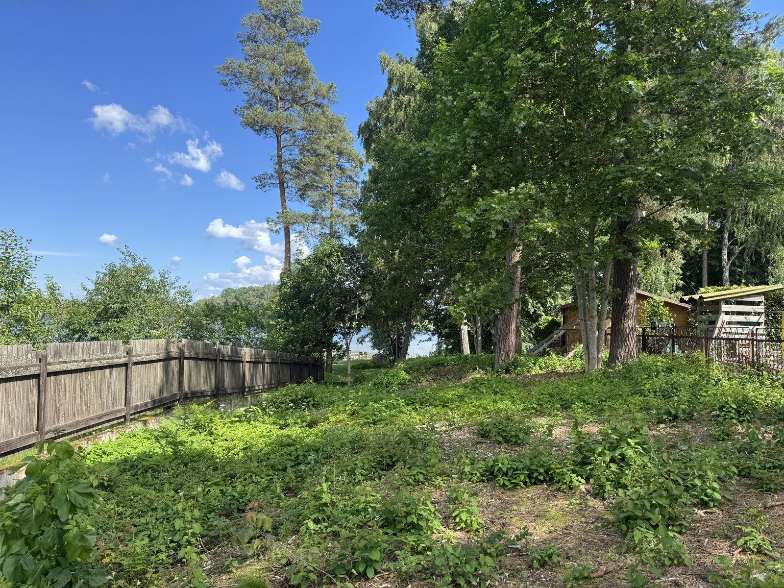 Zemes gabals 5512 m², Ādažu iela, Garkalnes pagasts — attēls 4