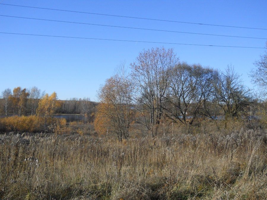 Zemes gabals 2 ha, Kokneses pagasts — attēls 5