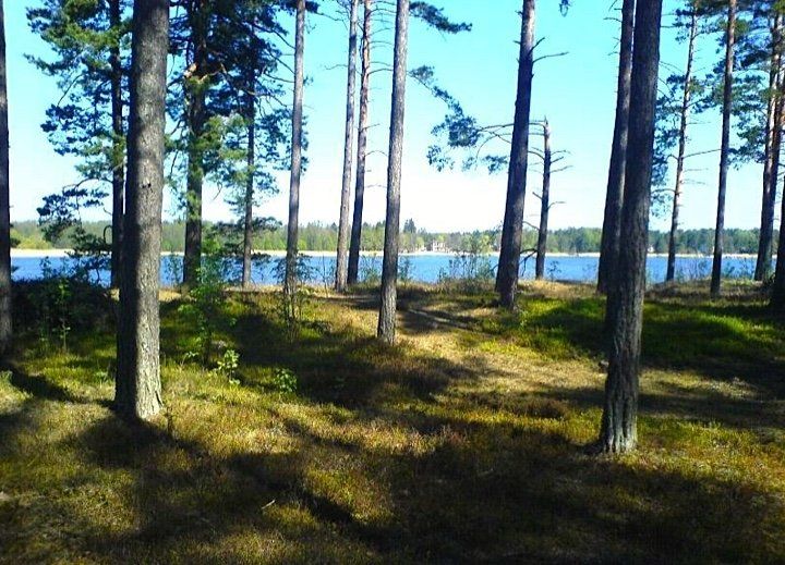 Zemes gabals 23,44 ha, Vārnukroga ceļš, Jūrmala