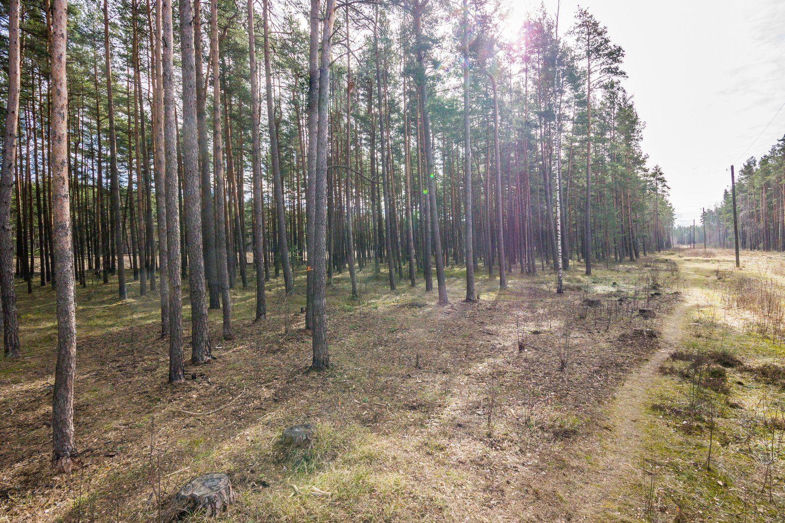 Zemes gabals 5165 m², Vecāķu prospekts, Rīga — attēls 2