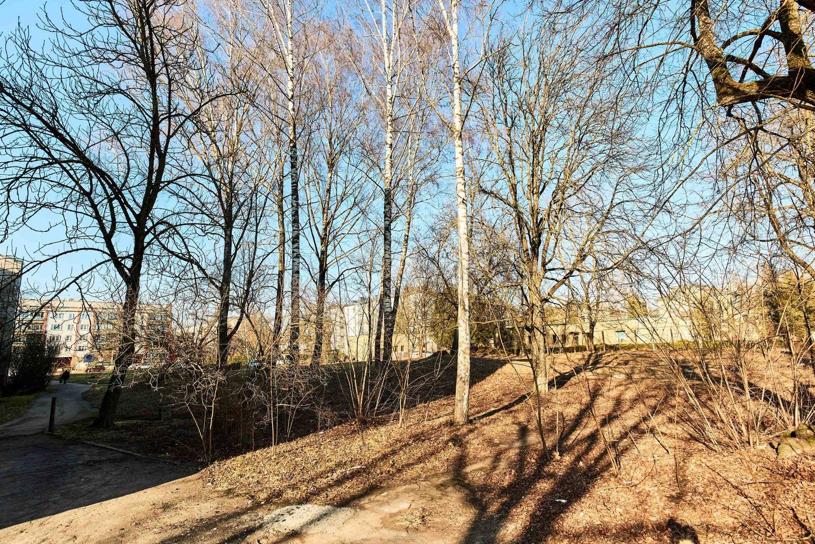 Zemes gabals 1872 m², Zalves iela 38, Rīga — attēls 2
