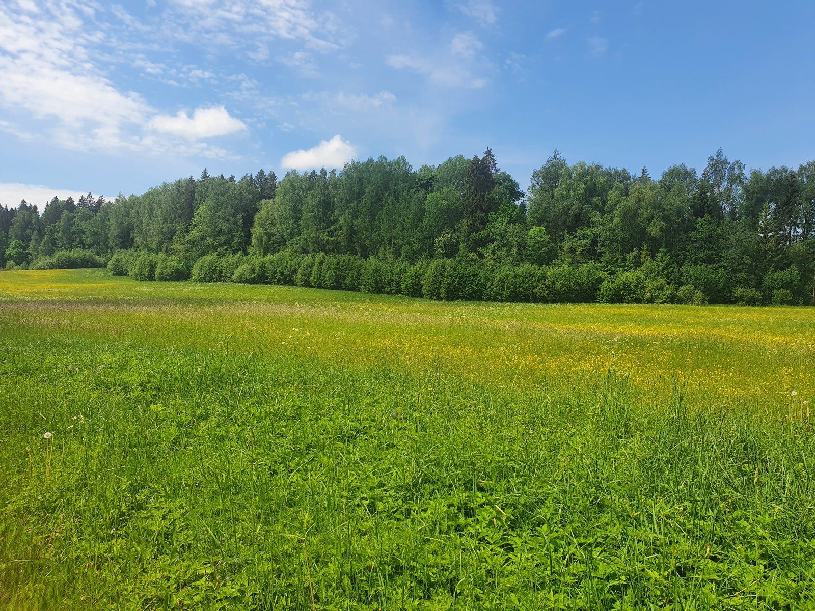 Zemes gabals 2,36 ha, Līgatnes pagasts