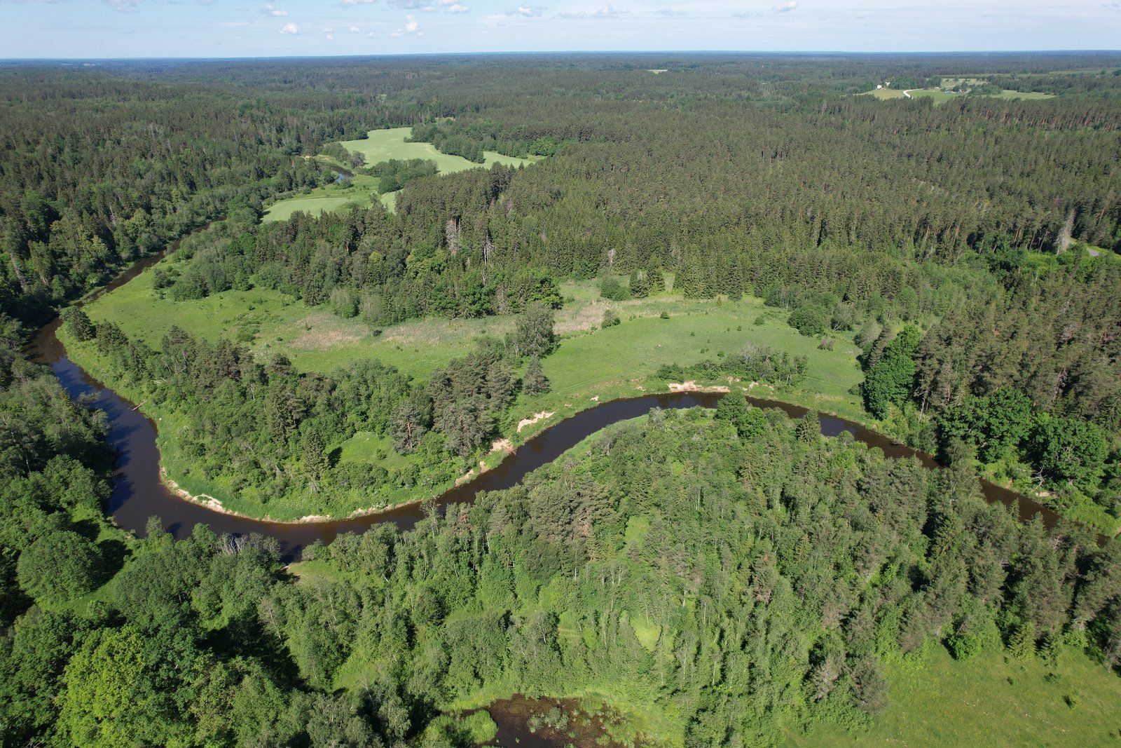 Zemes gabals 9,2 ha, Ģibuļu pagasts — attēls 4