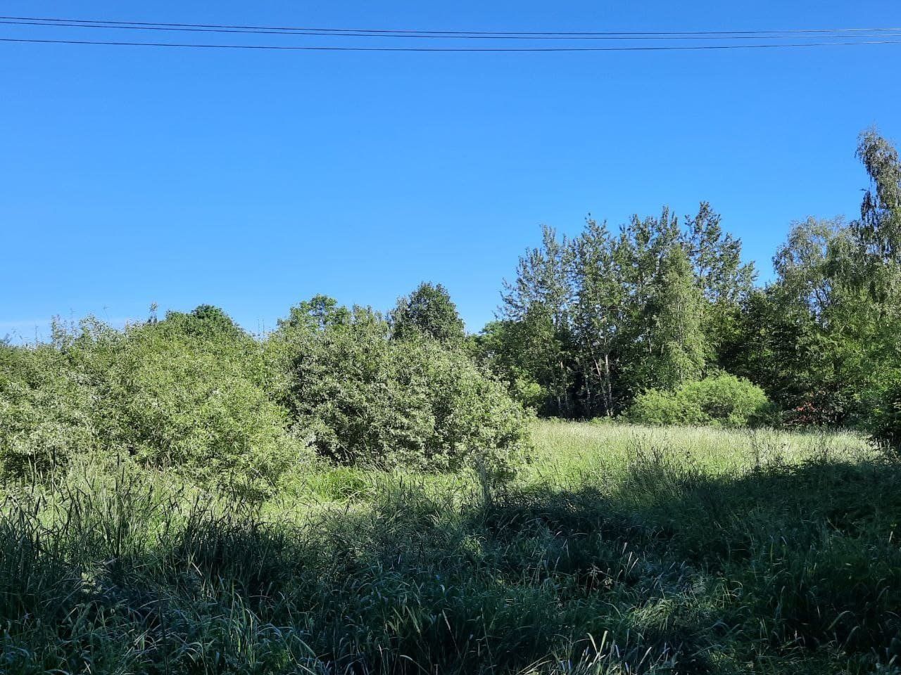 Zemes gabals 1,5 ha, Jaunciema gatve, Rīga — attēls 2
