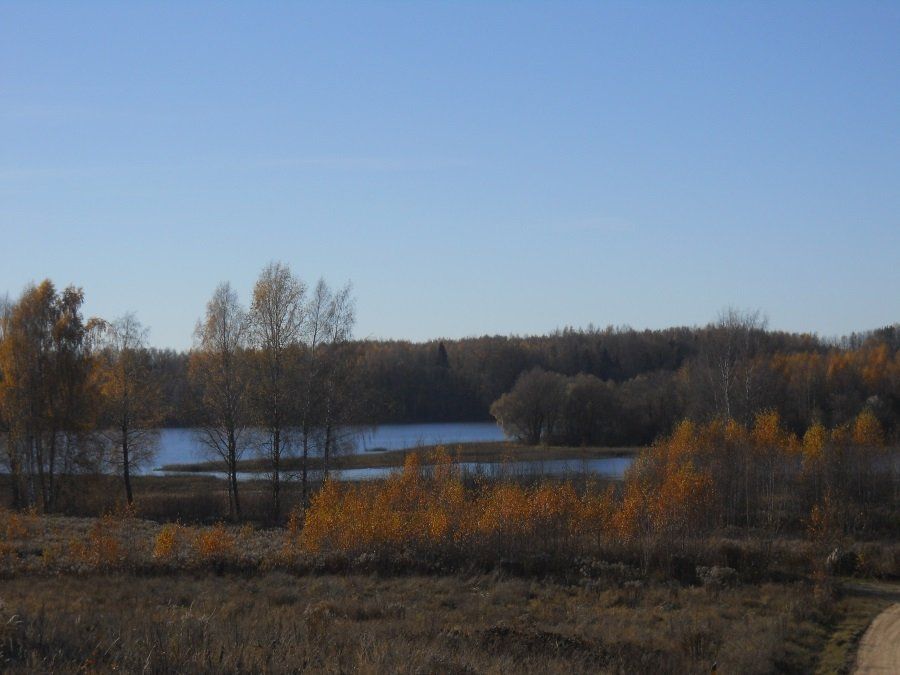 Zemes gabals 1,83 ha, Kokneses pagasts — attēls 4