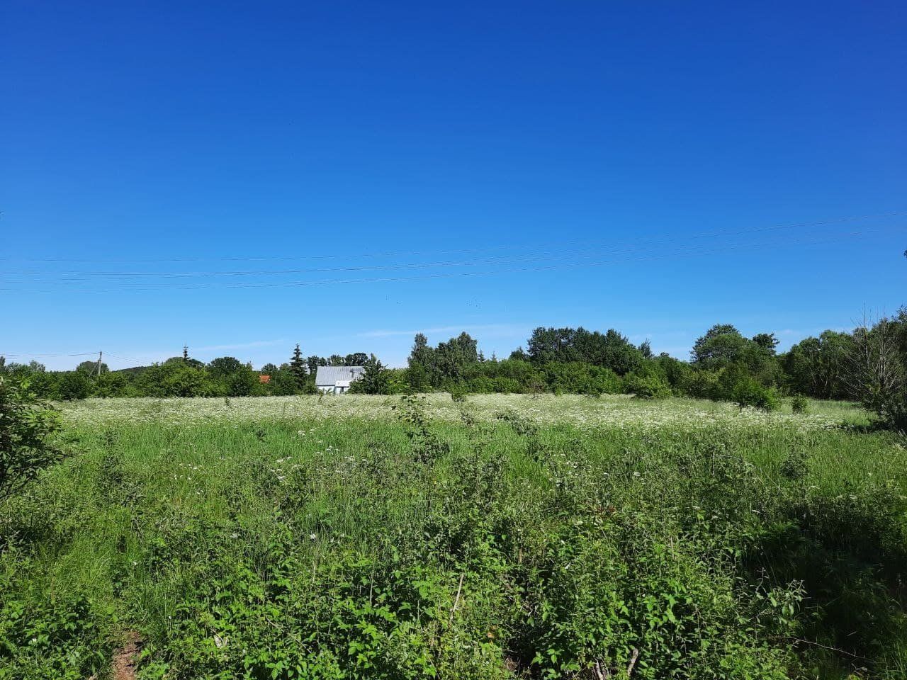 Zemes gabals 1,5 ha, Jaunciema gatve, Rīga