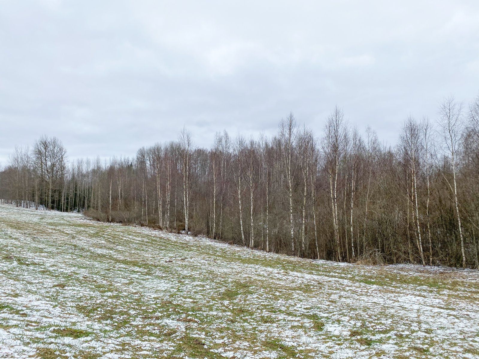 Zemes gabals 8 ha, Inešu pagasts — attēls 2
