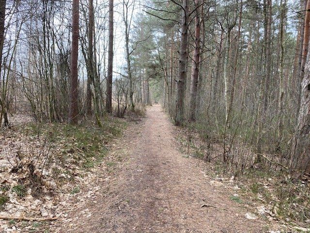 Zemes gabals 1798 m², Peoniju iela 12, Jūrmala — attēls 5