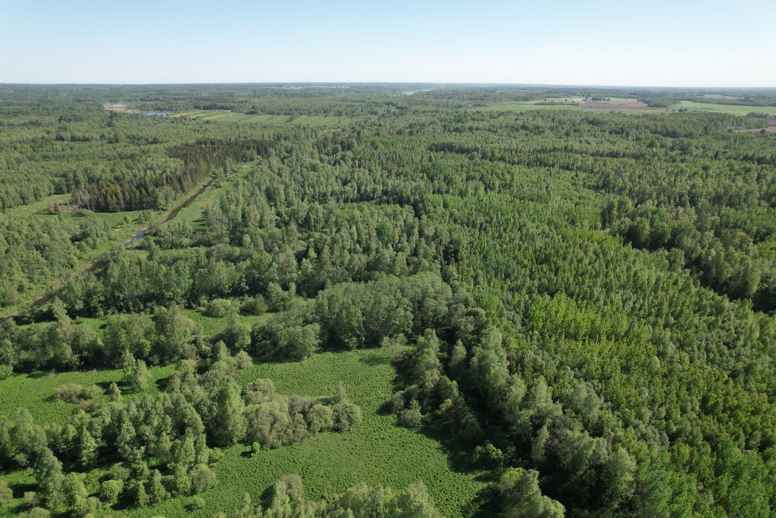 Zemes gabals 12,8 ha, Viļķenes pagasts