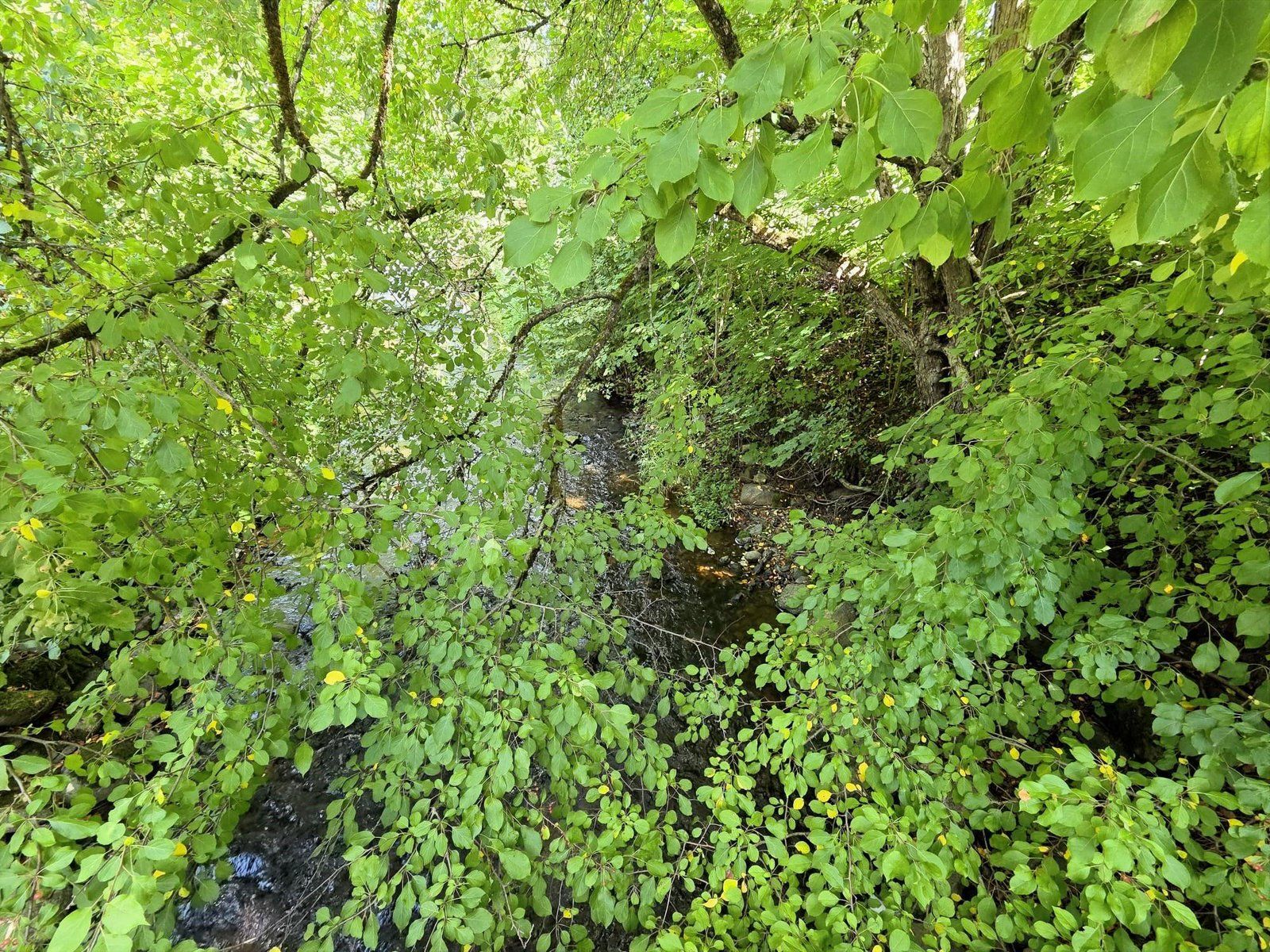 Zemes gabals 2631 m², Daugavas iela 43A, Skrīveru pagasts — attēls 2
