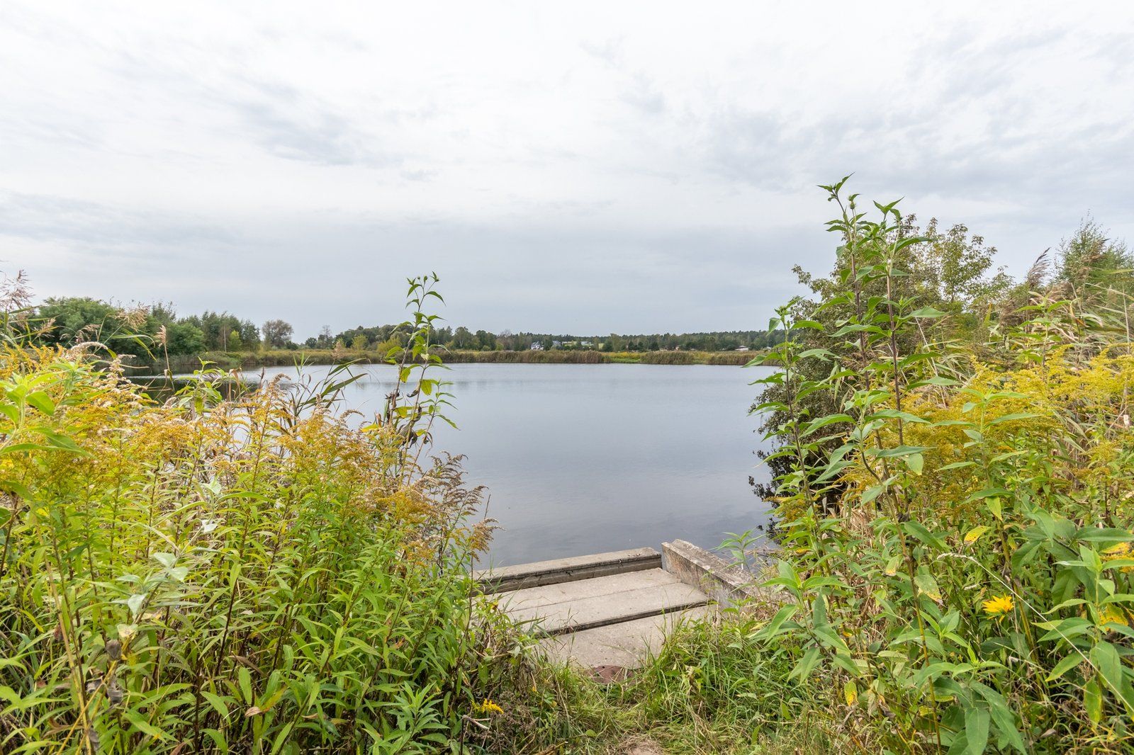 Zemes gabals 19,05 ha, Upesciems — attēls 2