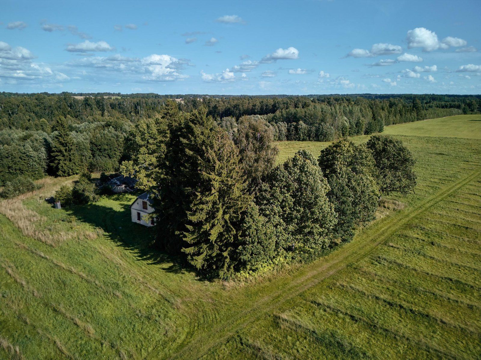 Zemes gabals 40,7 ha, Ķoņu pagasts — attēls 5