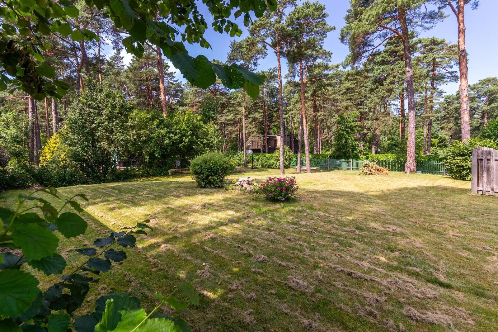 Zemes gabals 1254 m², Paceplīša iela 3, Rīga — attēls 5