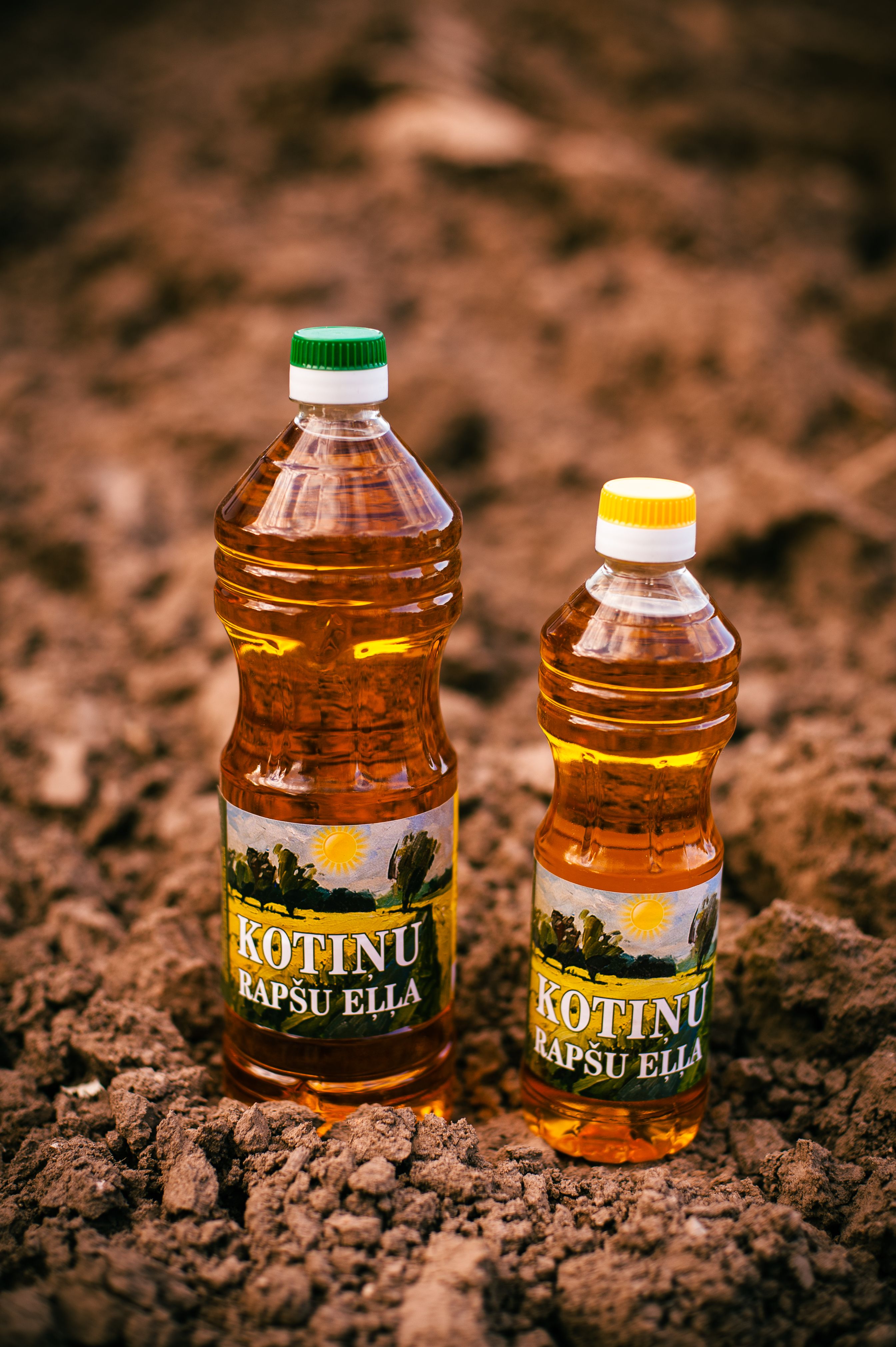 Rapšu eļļa, auksti spiesta, nerafinēta, 2 l