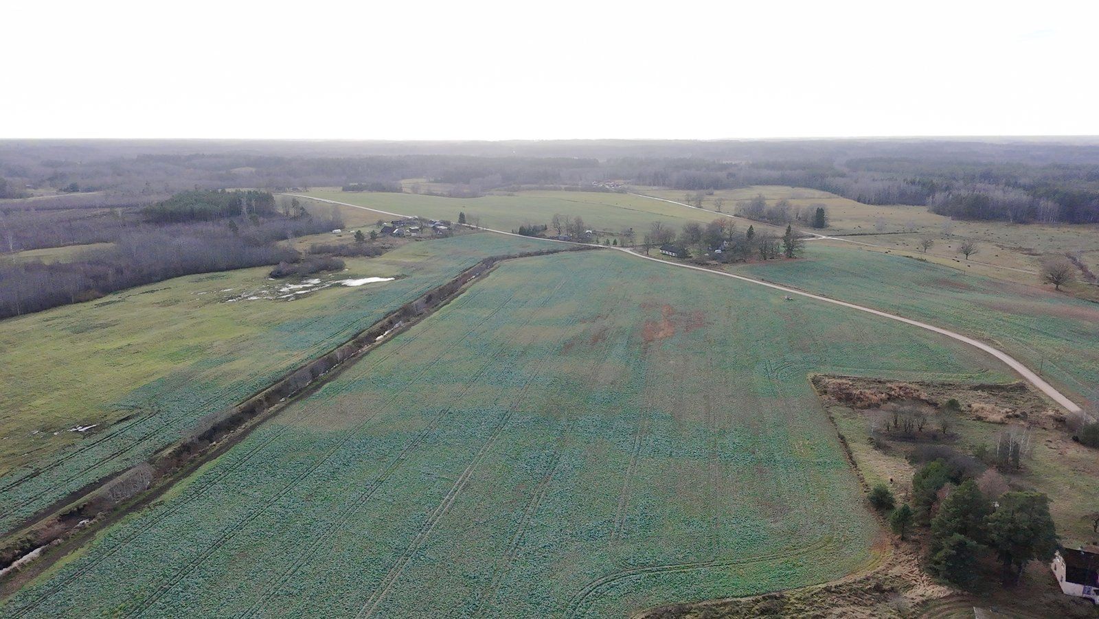 Zemes gabals 14,51 ha, Baldones pagasts — attēls 3