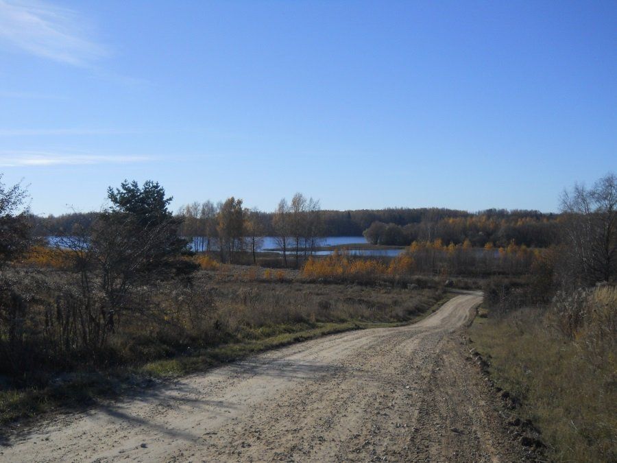 Zemes gabals 1,83 ha, Kokneses pagasts — attēls 5