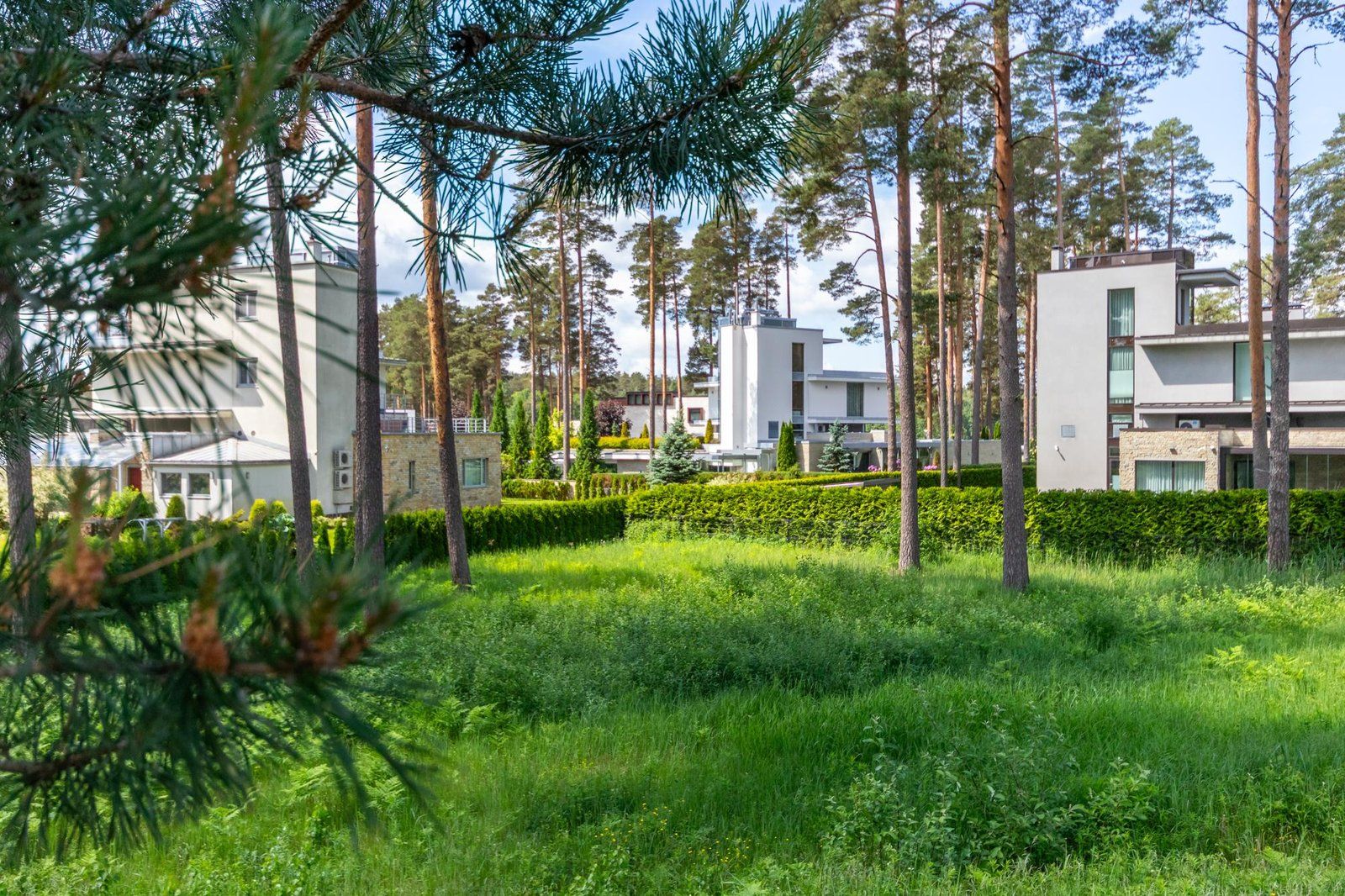Zemes gabals 2630 m², Ezera iela 21, Babītes pagasts — attēls 5