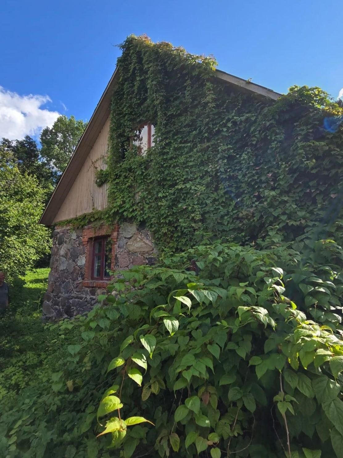 Lauku māja 237 m², Dzirnieki, Straupes pagasts — attēls 3