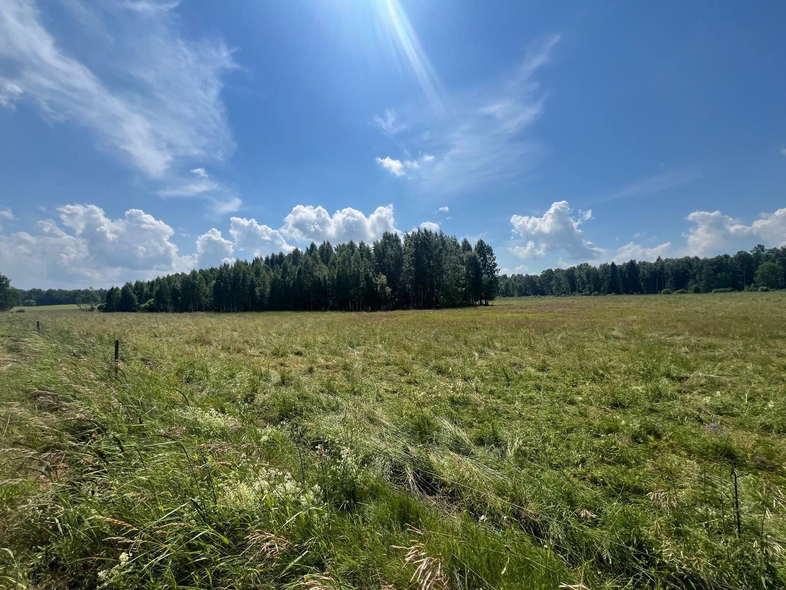 Zemes gabals 30,5 ha, Astašova — attēls 2