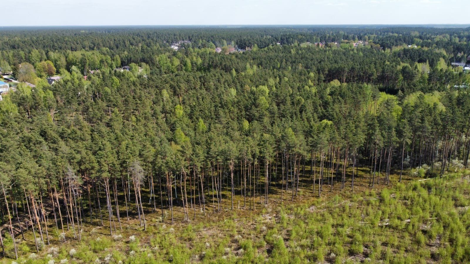 Zemes gabals 6031 m², Mazā Lapu iela 6, Garkalnes pagasts — attēls 4