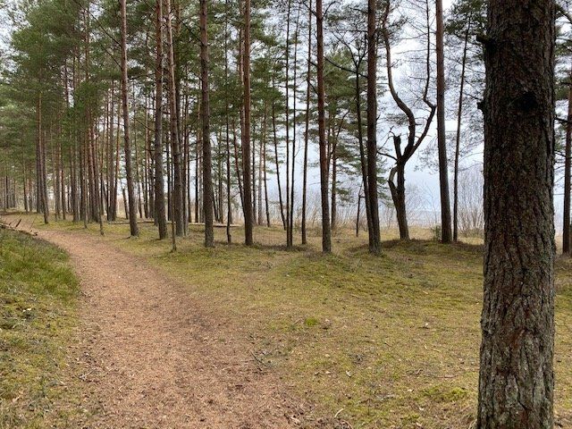 Zemes gabals 1798 m², Peoniju iela 12, Jūrmala — attēls 4
