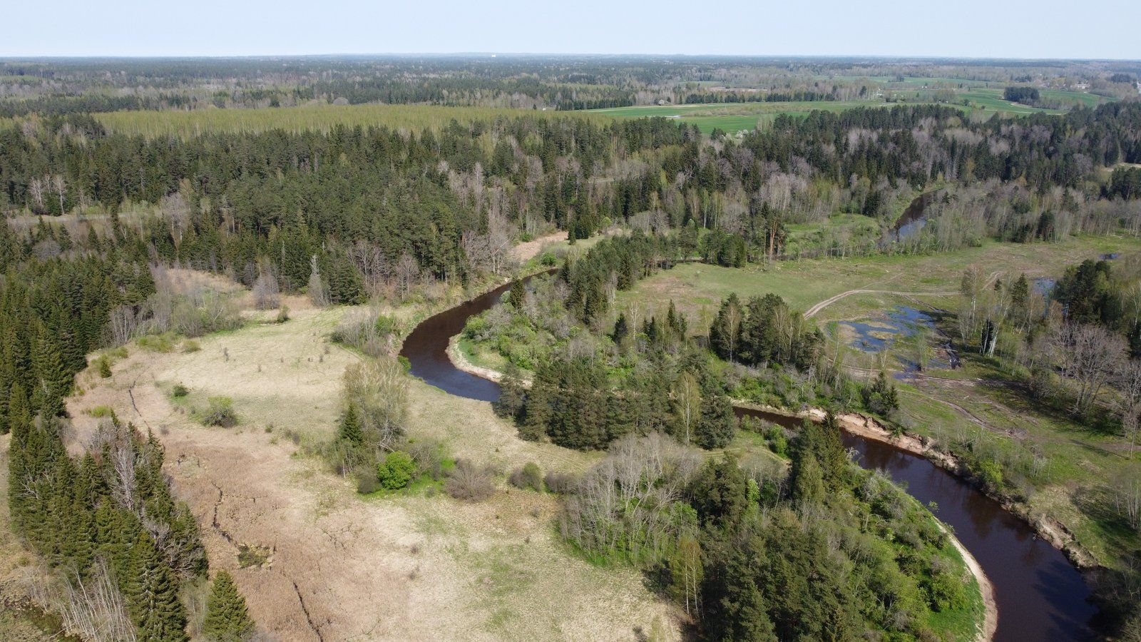 Zemes gabals 9,2 ha, Ģibuļu pagasts