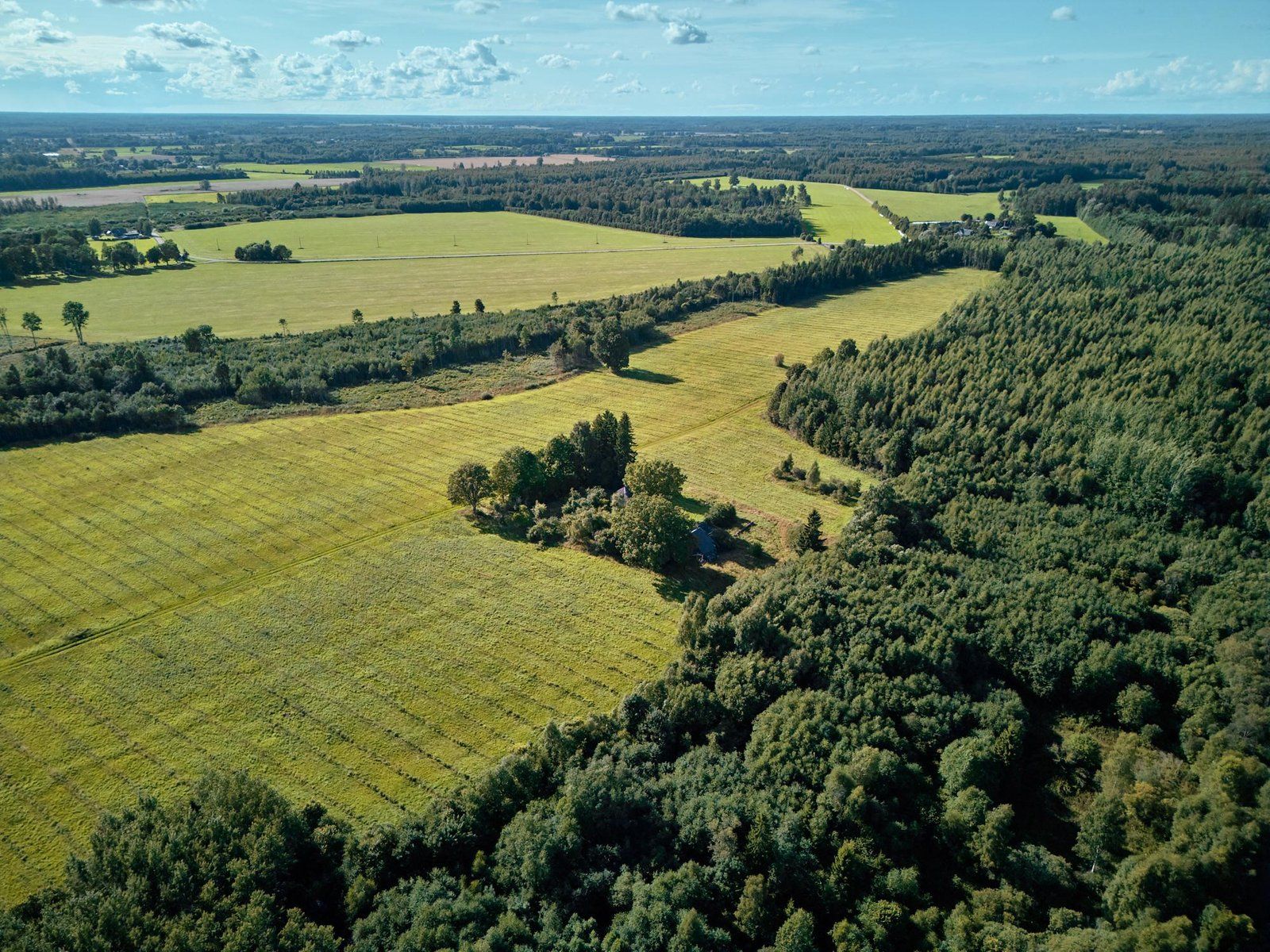 Zemes gabals 40,7 ha, Ķoņu pagasts