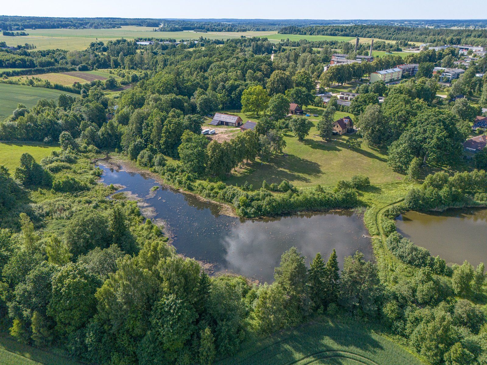 Zemes gabals 2,88 ha, Priedaine — attēls 5