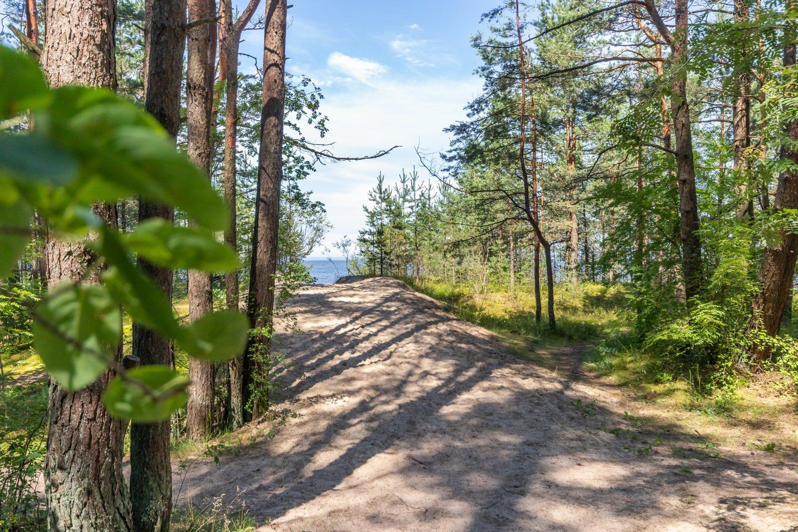 Zemes gabals 1251 m², Rotas iela 9A, Jūrmala — attēls 4