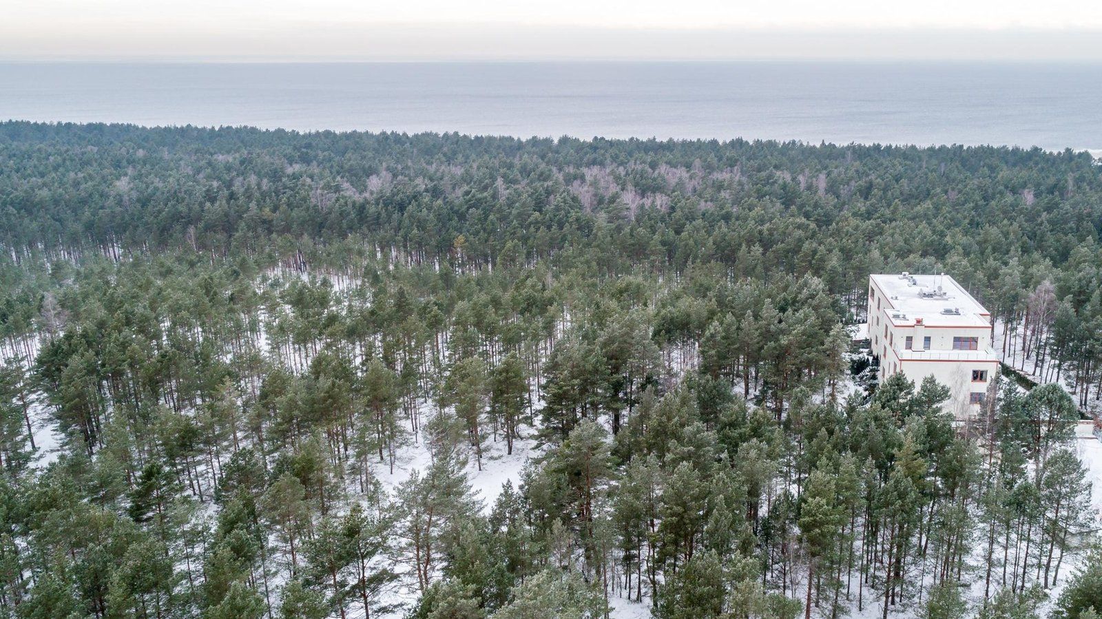 Zemes gabals 1959 m², Jūras iela 53, Carnikavas pagasts