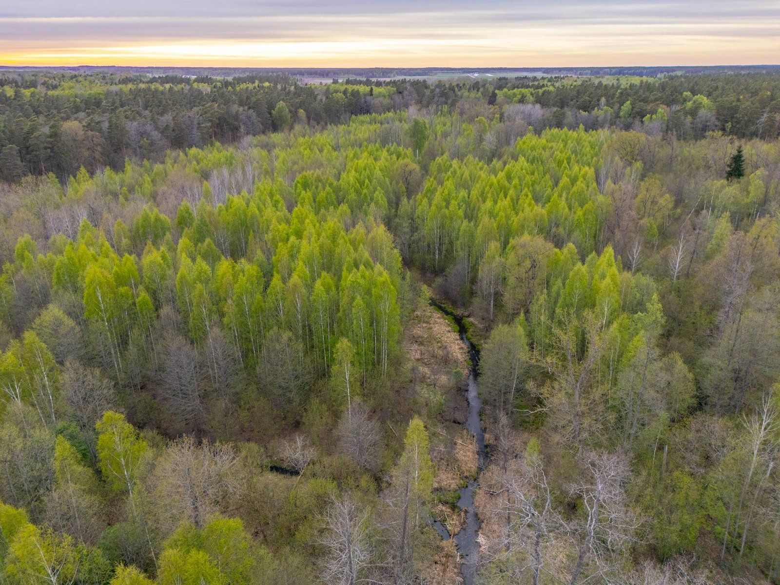 Zemes gabals 5,9 ha, Stapriņi — attēls 4