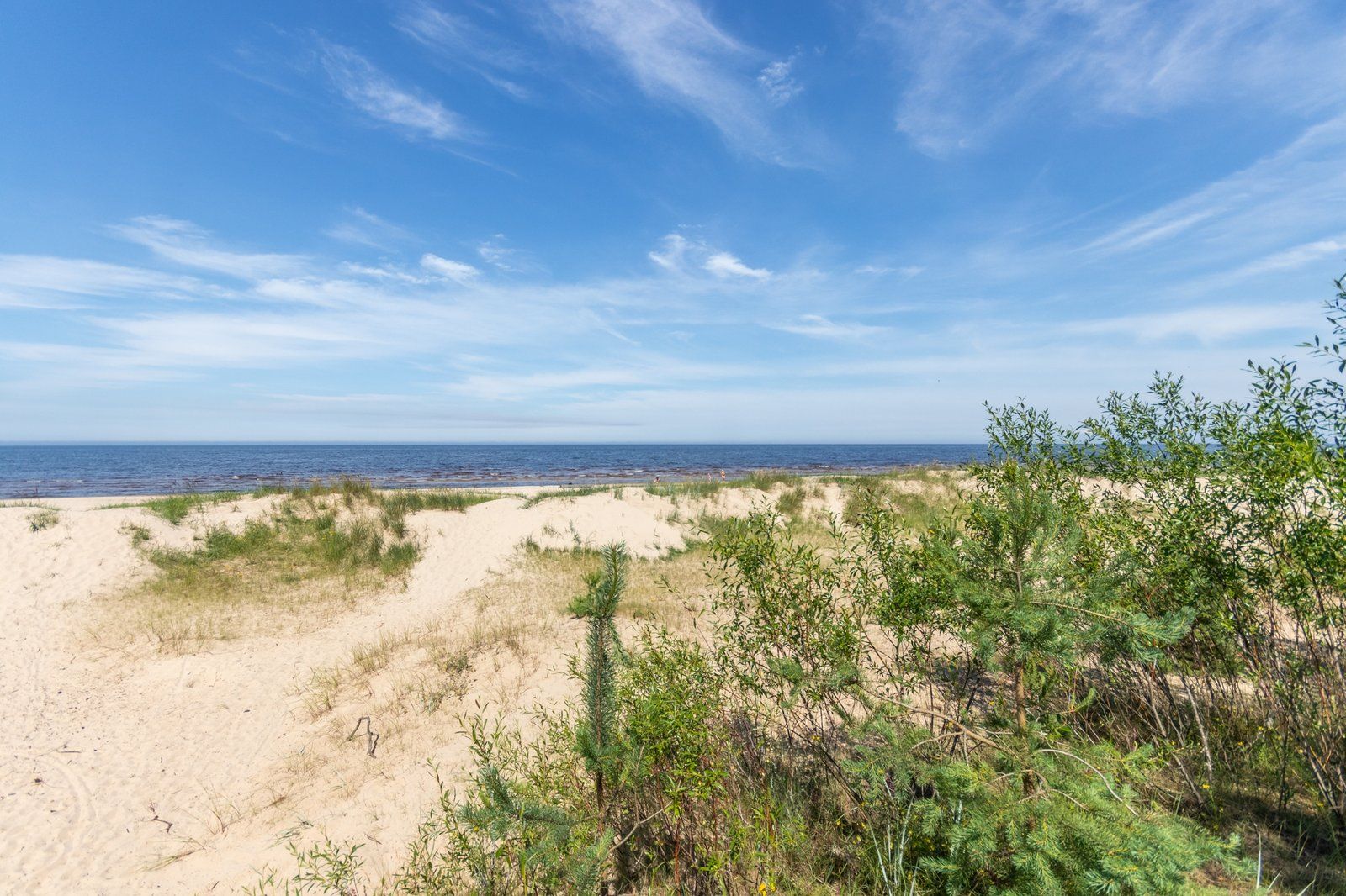Zemes gabals 1251 m², Rotas iela 9A, Jūrmala — attēls 5