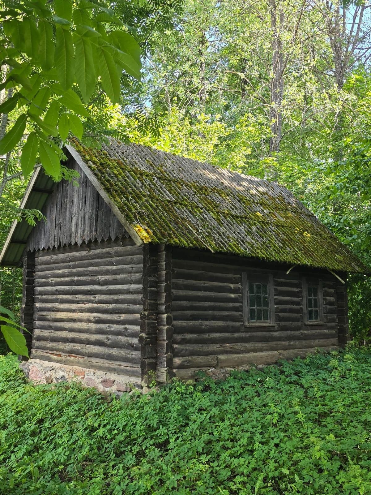 Lauku māja 237 m², Dzirnieki, Straupes pagasts — attēls 4