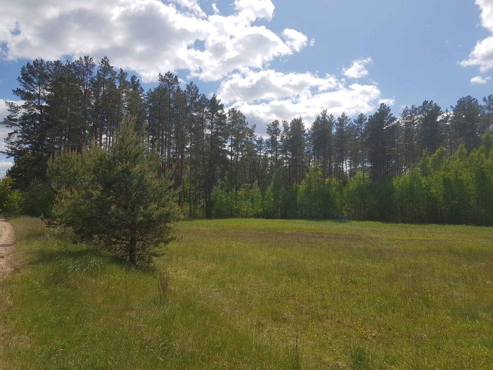 Zemes gabals 3,6 ha, Boķu iela 2, Ādažu pagasts