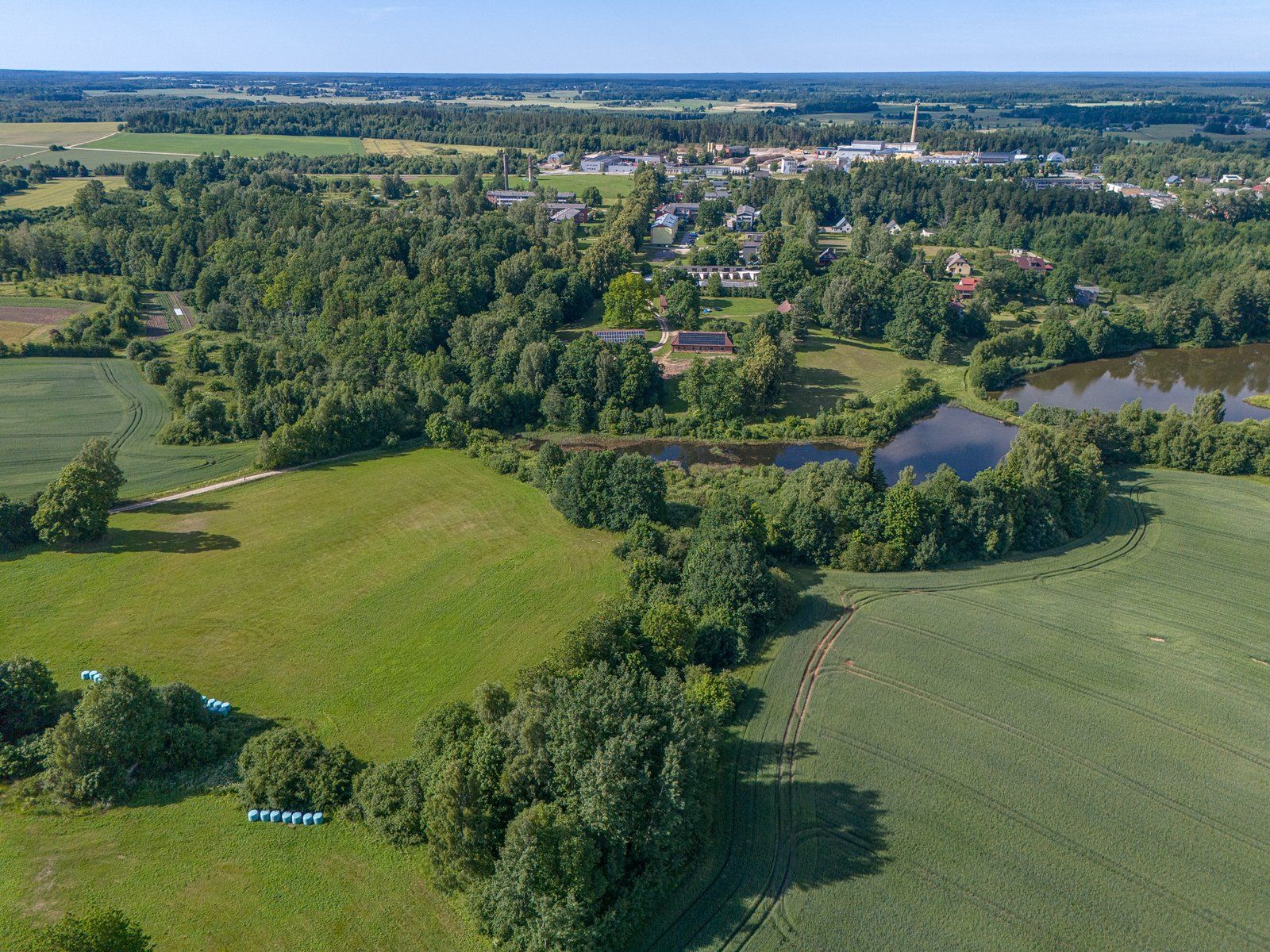 Zemes gabals 2,88 ha, Priedaine — attēls 4