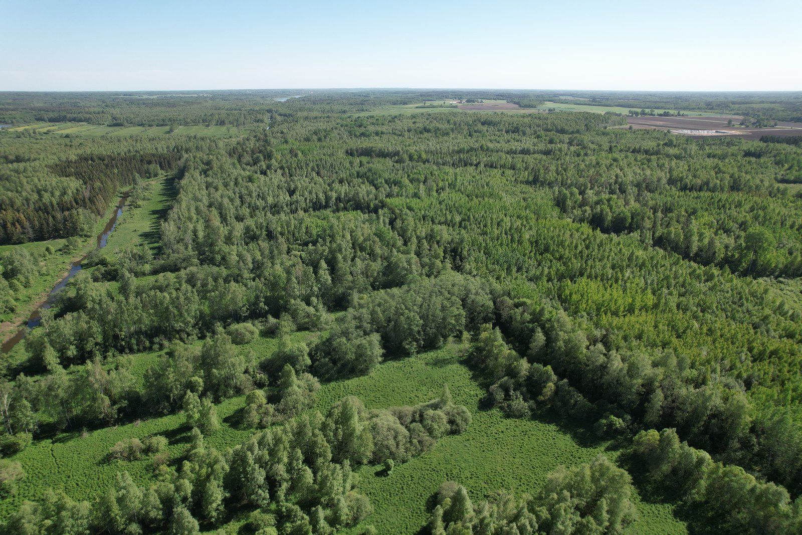 Zemes gabals 12,8 ha, Viļķenes pagasts — attēls 2