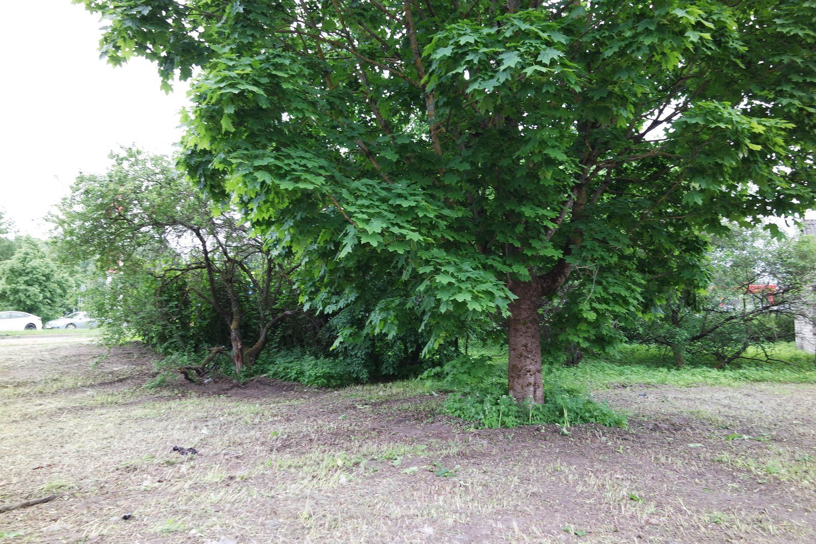 Privātmāja 30 m², Kurzemes prospekts 165, Imanta — attēls 3