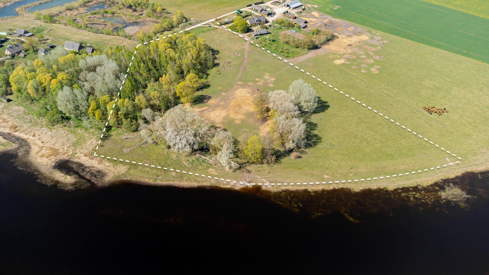 Zemes gabals 5,02 ha, Jaunsvirlaukas pagasts — attēls 2