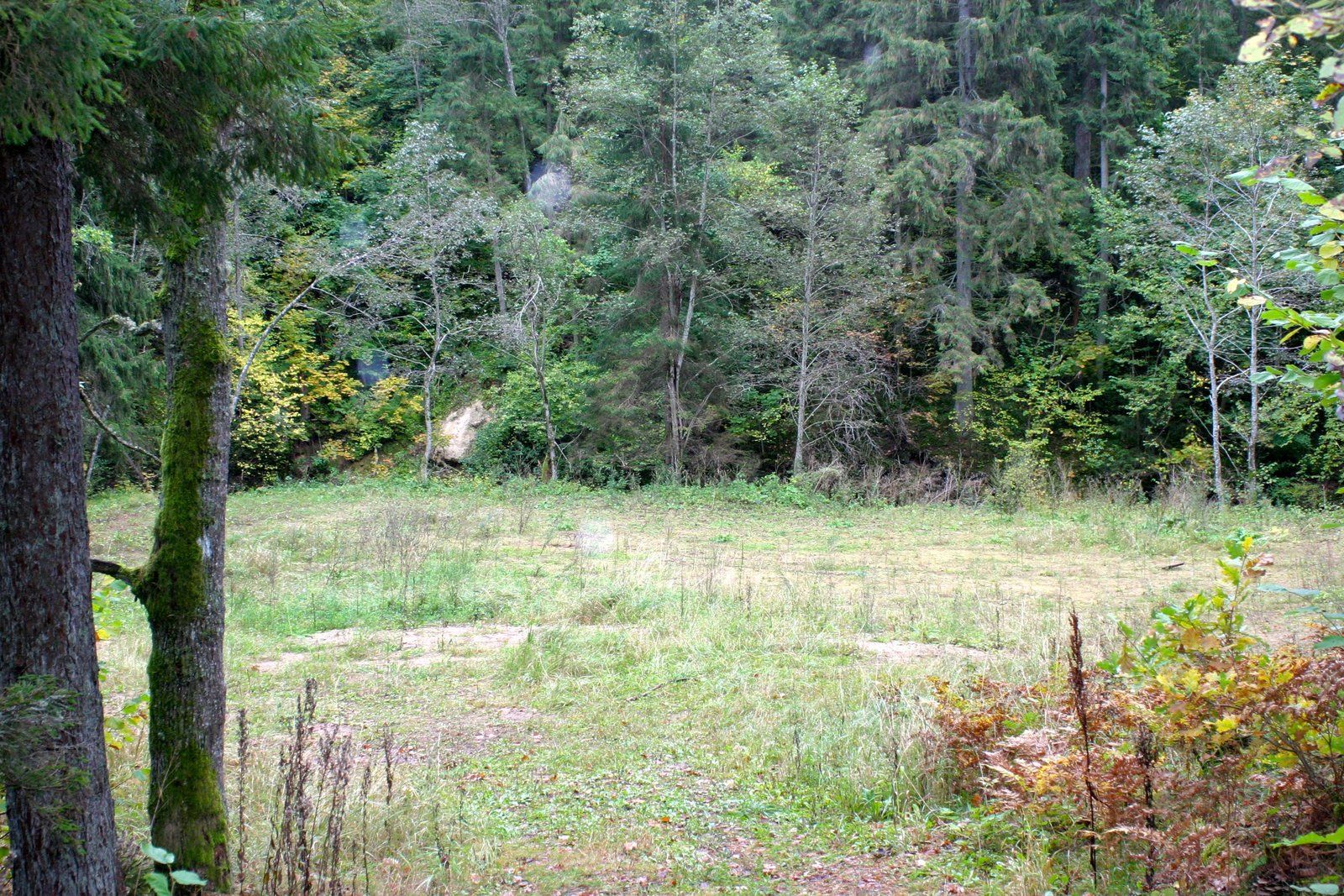 Zemes gabals 1,1 ha, Liepu iela, Sējas pagasts